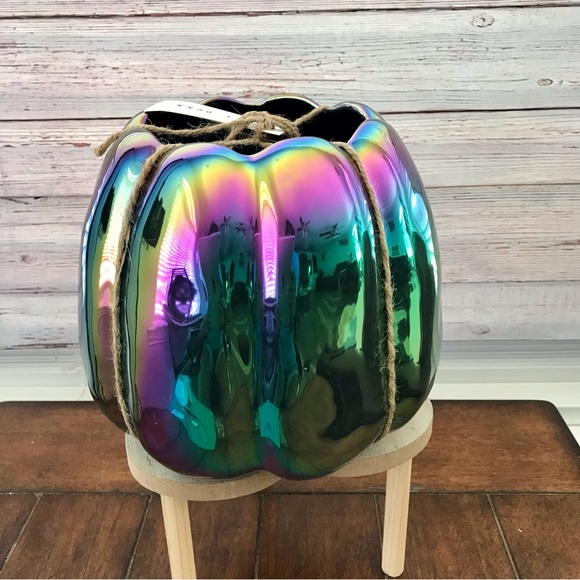 🆕Smashed Pumpkin Planter - Picture 4 of 5